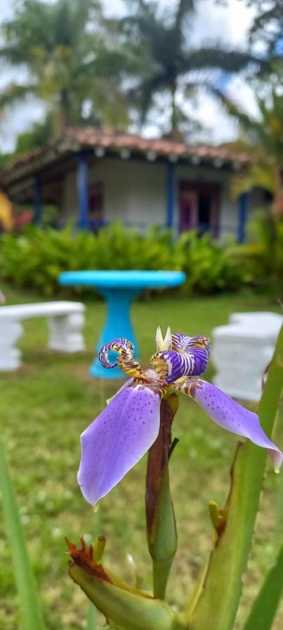 Finca Hotel Villa Del Sol 푸에블로 타파오 외부 사진